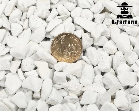 Chunky Perlite Bulk, Horticultural Pearlite Coarse Perlite for Plants Indoor, Additive Conditioner Mix, Improve Drainage and Ventilation, Help Root Growth(5-10mm, 1qt)