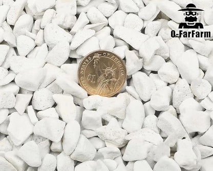 Chunky Perlite Bulk, Horticultural Pearlite Coarse Perlite for Plants Indoor, Additive Conditioner Mix, Improve Drainage and Ventilation, Help Root Growth (5-10mm, 2qt)