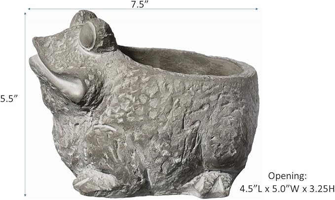 Classic Home and Garden Cement Buddies Animal Planter - Cute Desk Decoration - UV Coated Animal Vase w/Removable Drain Plug - Succulent Planter for Indoor/Outdoor Use (Frog Planter, Natural, Large)
