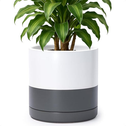 D'vine Dev 10 Inch Ceramic Planter Pot with Drainage Hole and Saucer, Indoor Cylinder Round Planter Pot, White/Speckled Grey, 94-O-E-6