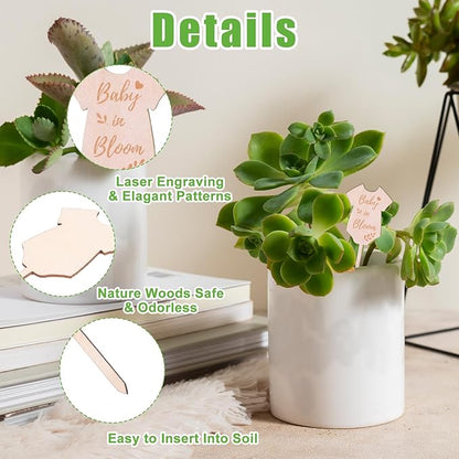 30Pcs Baby in Bloom Succulent Tags Wedding Favors, Hexagon Plant Sticks Wooden Stake Signs for Wedding Bridal Shower Baby Shower Decorations Anniversary Succulent Party Wraps for Favors