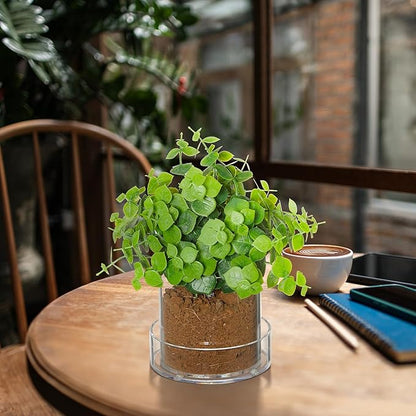 Clear Plant Nursery Pots Acrylic Orchid Pots with Drainage Holes and Tray Transparent Planter for Indoor Plants, Succulents, Herb, Flowers and Cactus Decorative(4 Inches,Circle)