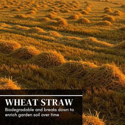 100% Natural Wheat Straw for Animal Bedding, Garden Mulch, Compost & Fertilizer, and Grass Cover (12 Ounces)