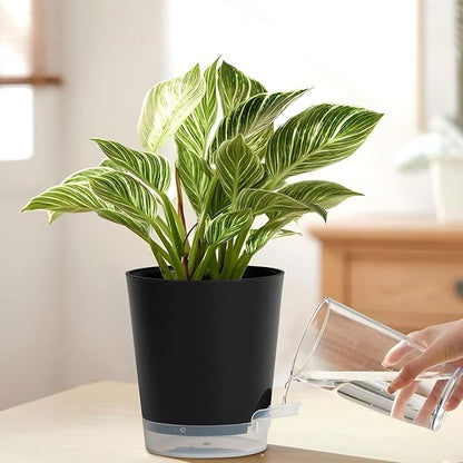 4 Inch 5 Pack Small Self Watering Pots for Indoor Plants, Nursery Pot with Drainage Holes and Saucers, Plastic Small Flower Planter for Succulent, Aloe, Cacti and More(Black)