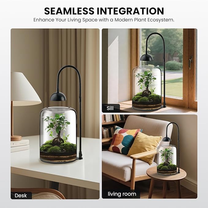 Glass Plant Terrarium with LED Light & Ventilation, Large Terrarium for Venus Fly Trap Live Plant with Ventilation, for Plants Ideal for Succulents, Home Office Desk Decor,8.2" Tall