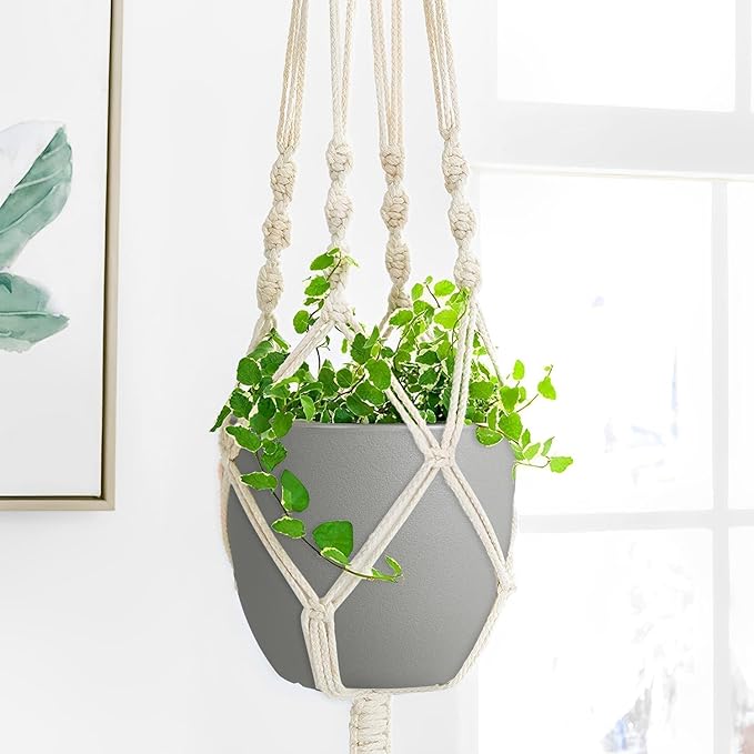 Plant Pots 6 Inch Set of 5, Flower Pots with Multi Mesh Drainage Holes, Planters for Indoor Outdoor Garden Plants and Flowers (Multicolor)
