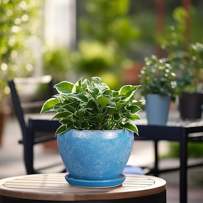 6 Inch Plant Pot - Ceramic Planter Pot with Drainage Hole and Saucer, Glaze Succulent Pot Modern Round Flower Pot for Indoor Plants, Blue