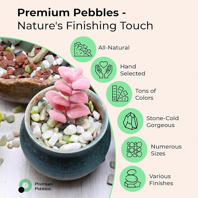Rocks for Plants. Mixed Color Polished Decorative Pebbles. 0.5 to 1 Inch 18 lbs. for Garden, Landscaping, Indoor, Vase fillers, Crafting, Succulents, pots, Plants