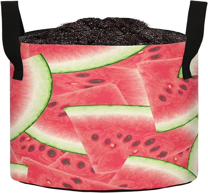 3 Gallon Summer Fresh Red Watermelon Breathable Grow Bag Heavy Duty Thickened Plant Pot Containers with Handles for Tomato Potato Fruits Vegetables Flowers