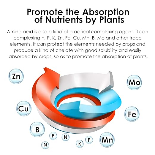 Compound Amino Acid Original Powder Water-Soluble Fertilizer, Agricultural Amino Acid Powder, Equipped with mini Dosage Spoon(300g)