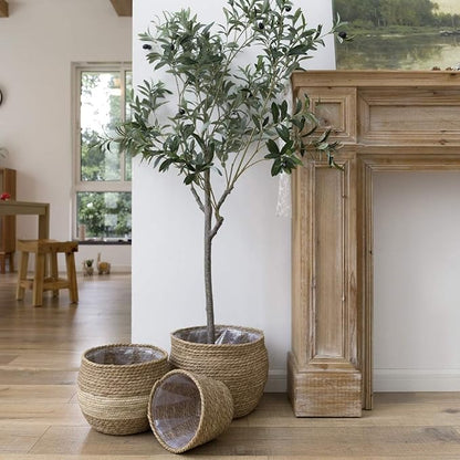 LA JOLIE MUSE Natural Seagrass Large Planter, Plant Pots Cover, Indoor Planters Flower Pots, 13.5+12+9 inch Pack 3