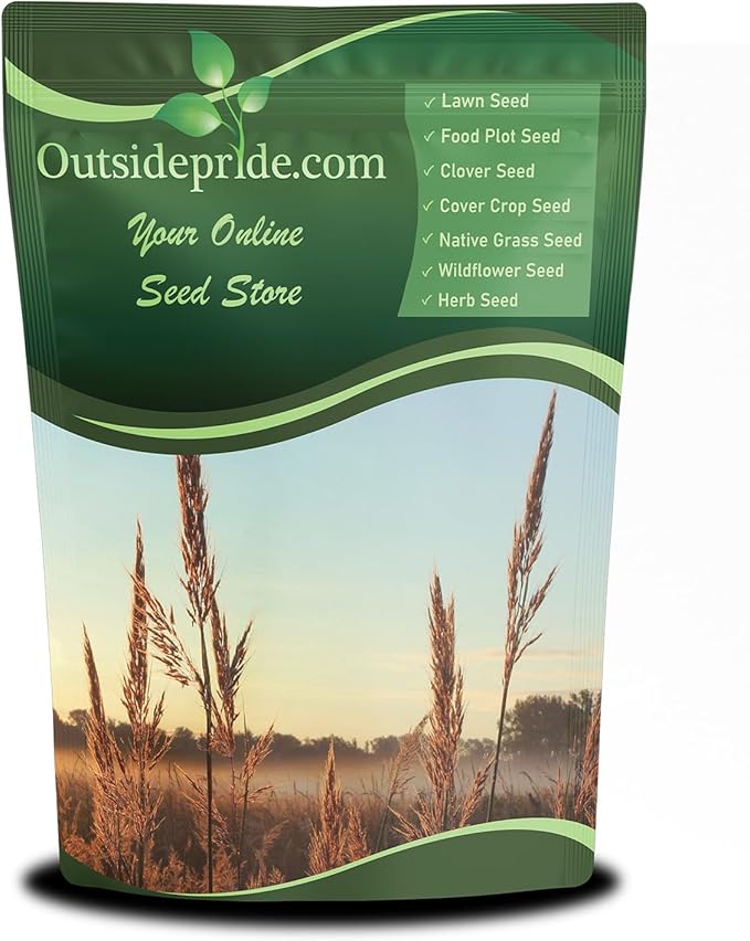 Outsidepride Perennial Andropogon Big Bluestem Grass Seed - 1 lb. Warm Season, Drought Resistant, Native Prairie Grass Seed, Ideal for Erosion Control, Ornamental Landscaping & Wildlife Gardens