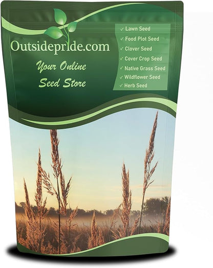 Outsidepride Perennial Andropogon Big Bluestem Grass Seed - 1 lb. Warm Season, Drought Resistant, Native Prairie Grass Seed, Ideal for Erosion Control, Ornamental Landscaping & Wildlife Gardens
