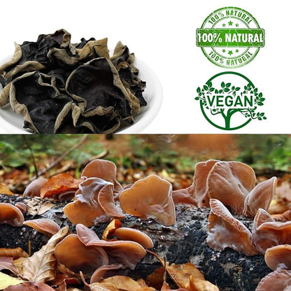DABC OAK LAND Premium Dried Woodear Mushroom, Dried Black Fungus Shredded All Natural Vegan and Gluten-Free Rich in Fiber & Iron, Perfect for Cuisine, Soups, Stir-Fries 黑木耳 8 Ounce