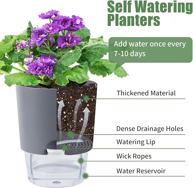 6.3 Inch Self Watering Planter Pots for Indoor Plants, 3 Packs African Violet Pots with Wick Rope and Visible Reservoir Self Watering Planter for Herb, Houseplants