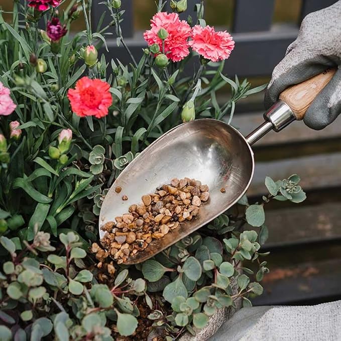 Kent & Stowe Stainless Steel Hand Potting Scoop, Compact Garden Scoop for Compost and Soil, Classic All Year Round Garden Tools Made from Stainless Steel and Ash Wood