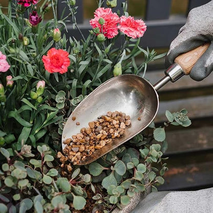 Kent & Stowe Stainless Steel Hand Potting Scoop, Compact Garden Scoop for Compost and Soil, Classic All Year Round Garden Tools Made from Stainless Steel and Ash Wood