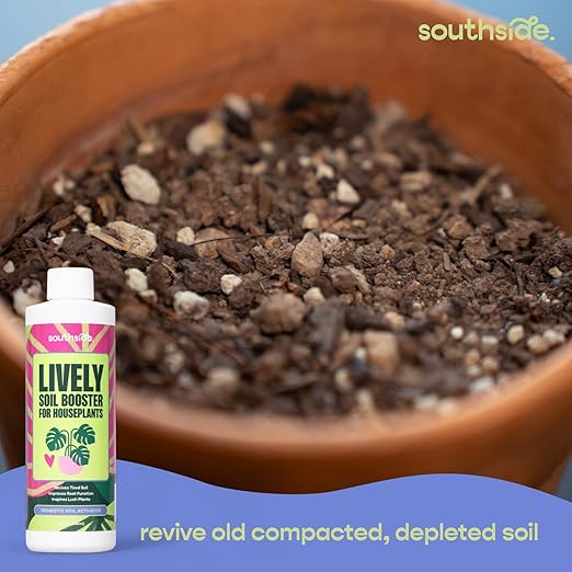 Southside Plants Lively Soil Conditioner for Houseplants – Repot Less, Revive Tired Potting Soil, Improve Drainage & Nutrient Uptake – Beneficial Bacillus Indoor Plant Booster