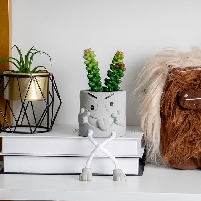 Uguisu 2pcs Cute Plant pots,Succulent pots,Indoor Succulent planters,Small planters for Home Decor,Room Shelf Desk Decor. About 2.5 inches.