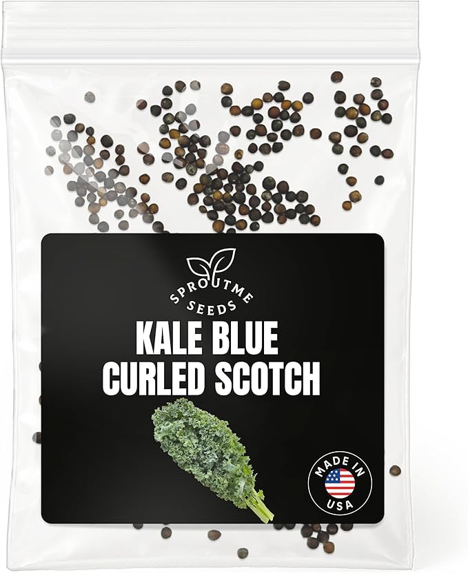 Kale Blue Curled Seeds for Planting – 500+ Non-GMO Heirloom Blue Curly Kale, Cold Hardy Leafy Green for Spring & Fall Growing, High Germination (Brassica oleracea)