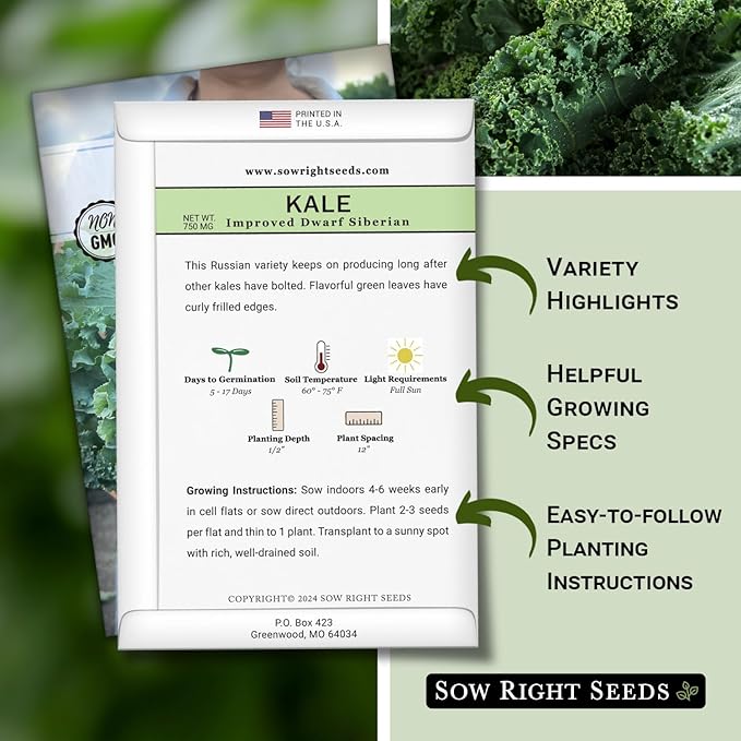 Sow Right Seeds - Dwarf Siberian Improved Kale Seed for Planting - Non-GMO Heirloom Packet with Instructions to Plant a Home Vegetable Garden - Very Nutritious Superfood - Classic Variety (1)