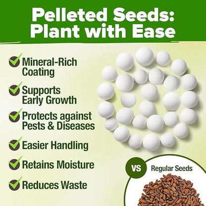 HOME GROWN Organic Herb Seeds Variety Pack - Non GMO, Heirloom 5100+ High-Germinating Heirloom Seeds for Planting Indoor Outdoor Spring Herb Garden Hydroponics Garden Seeds, Basil Cilantro & More