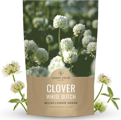 White Dutch Clover - Bulk 1 Pound Pouch - 600,000 Flower Seeds for Planting - Trifolium repens