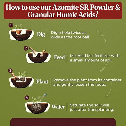 Down to Earth Azomite Powder & Granular Humic Acids | Volcanic Ash Mineral & Humic Acid | OMRI Listed | Ideal for Vegetable Gardens, Lawns, Beds, Row Crops & Containers | 5 lb Each