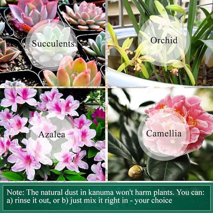 2lb Japanese Kanuma Soil 6-9mm Medium Grain for Acid-Loving Plants - Ideal for Bonsai, Azaleas, Hydrangeas & Blueberries,Succulent - Fast Drainage, PH Balanced (Natural, No Additives)
