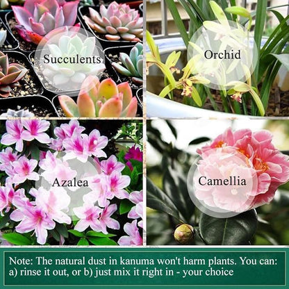 2lb Japanese Kanuma Soil 6-9mm Medium Grain for Acid-Loving Plants - Ideal for Bonsai, Azaleas, Hydrangeas & Blueberries,Succulent - Fast Drainage, PH Balanced (Natural, No Additives)