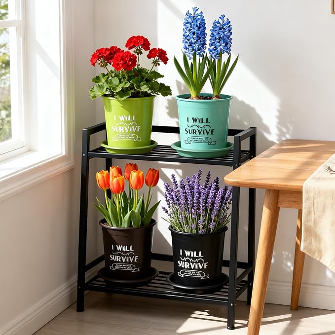 NIKONIKO 6.5 Inch Nursery Pots with Drainage and Saucers, 8 Pack, Ideal Seedling Pots and Plant Pots for Vegetables, Orchids, Aloe, Flower Pots for Indoor and Outdoor Plants