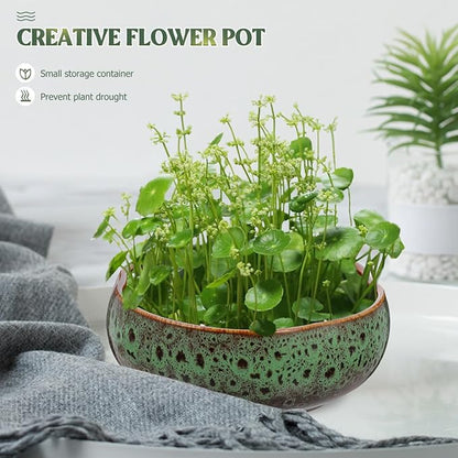 YARNOW Lotus Bowl Planter, 6.3 Inch Bonsai Pot, Ceramic Succulent Pot for Home, Patio, Balcony, Zen Garden Decor