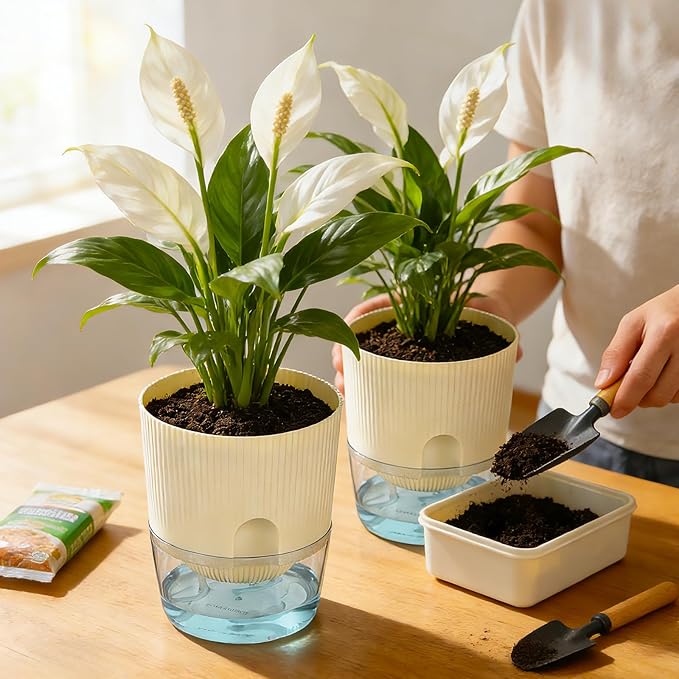 Plant Pots, 4 Pack 5.7 Inch Self Watering Pots for Indoor Plants, Flower Pots with Deep Reservoir and Drainage Holes - Yellow & Purple