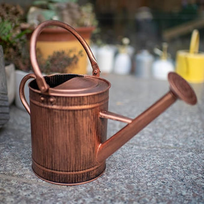 1 Gallon Watering Can, Copper Watering Can, Metal Water Can with Removable Spout, Perfect Plant Water Can for Indoor and Outdoor