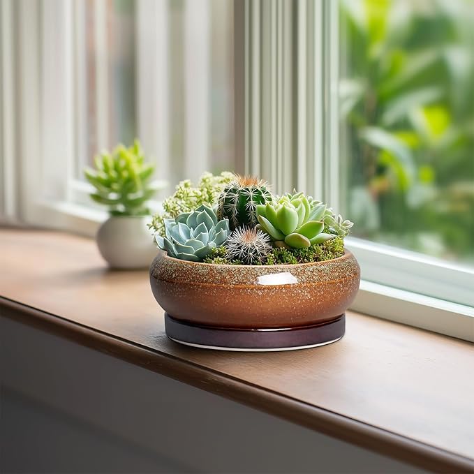 Succulent Pots - 6 Inch Ceramic Bonsai Pots with Drainage Hole and Tray, Succulent Planters for Indoor Outdoor, Shallow Round Planter, Cactus Pot, Desk Decor, Plant Lover Gifts, Retro Brown