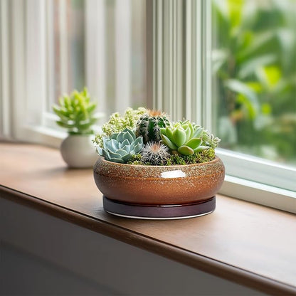 Succulent Pots - 6 Inch Ceramic Bonsai Pots with Drainage Hole and Tray, Succulent Planters for Indoor Outdoor, Shallow Round Planter, Cactus Pot, Desk Decor, Plant Lover Gifts, Retro Brown