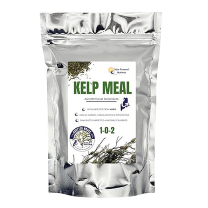 Gulf of Maine, Inc. Wild-Harvest Kelp Meal - Plant Food with Seaweed (Ascophyllum nodosum), Potassium and Trace Minerals 1-0.1-2, 0.5 lb (1 Lb)