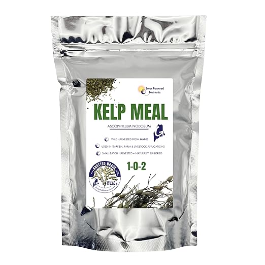 Gulf of Maine, Inc. Wild-Harvest Kelp Meal - Plant Food with Seaweed (Ascophyllum nodosum), Potassium and Trace Minerals 1-0.1-2, 0.5 lb (1 Lb)