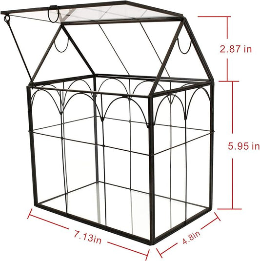 ELEGANTLIFE Glass Geometric Plant Terrarium,Succulent & Air Planter for Home Garden Office Decoration (Black House)
