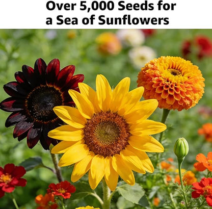 15+ Varieties 5000+ Sunflower Seeds for Planting, 4 Oz Heirloom Non-GMO Sunflower Mix Seeds to Plant (Giant Mammoth, Dwarf) Garden Variety Pack, High Germination, Attracts Pollinators