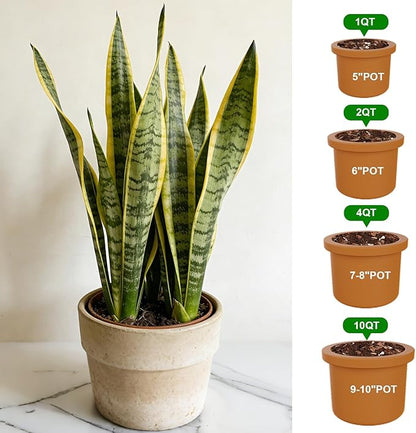 Organic Snake Plant Potting Soil 4qt- Well-Draining Nutrient-Rich Mix for Healthy Roots & Faster Growth, Natural Soil for Sansevieria Plants