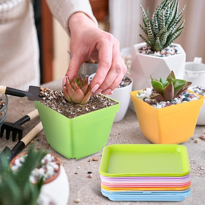 Amyhill 4 Inch Flower Pots Square Plants Nursery Pot Plastic Plant Seedling Pots Nursery Transplanting Planter Container with Saucer for Indoor Herbs Succulent Balcony Garden(Classic Color,100 Pcs)