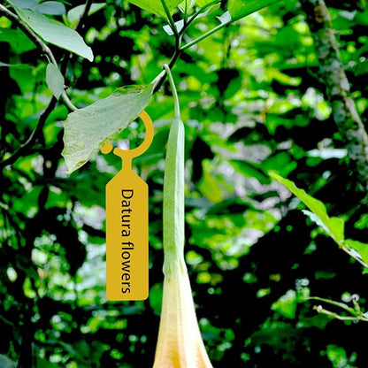 Plastic Plant Labels, 100 Pcs Plant Tags and Labels, Garden Labels Stakes for Hanging Labels for Plant Tree Nursery Seedling Tags Garden Decor(Yellow)