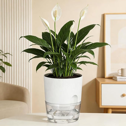 Plant Pots, 4 Pack 5.7 Inch Self Watering Pots for Indoor Plants, Flower Pots with Deep Reservoir and Drainage Holes - White