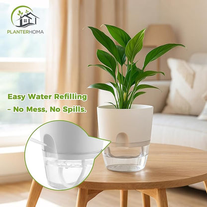 6 Pack Self Watering Pots for Indoor Plants, PlanterHoma 3.2/4/6 Inch Plant Pot Plastic Self Watering Planter for Orchid, African Violet, Small Clear Flower Pots with Drainage Holes and Wicking, White