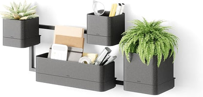 Umbra Cubiko Wall Planter with 4 Lightweight and Durable Pots (Black)