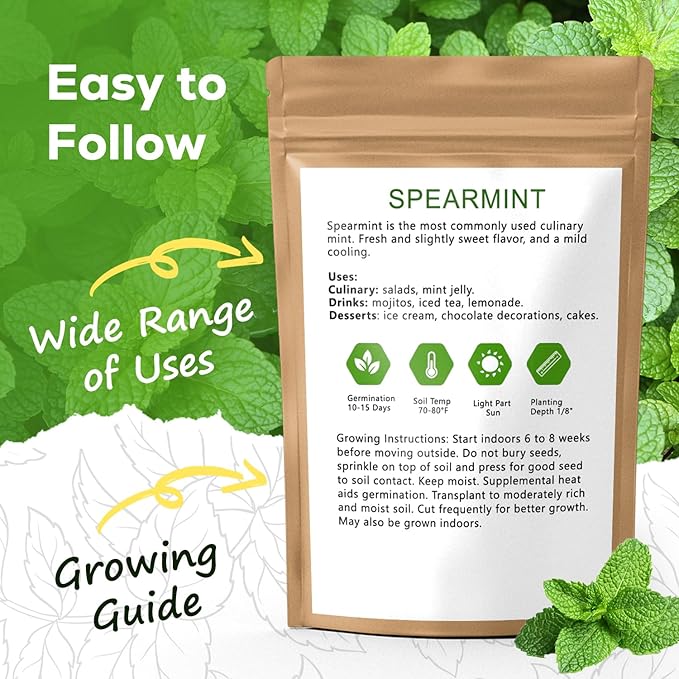 Mint Seeds for Planting - 3500 Spearmint Seeds, Non-GMO & Heirloom Perennial Herb Seeds for Indoor/Outdoor Herb Garden, Tea, Cocktails (1 Pack)