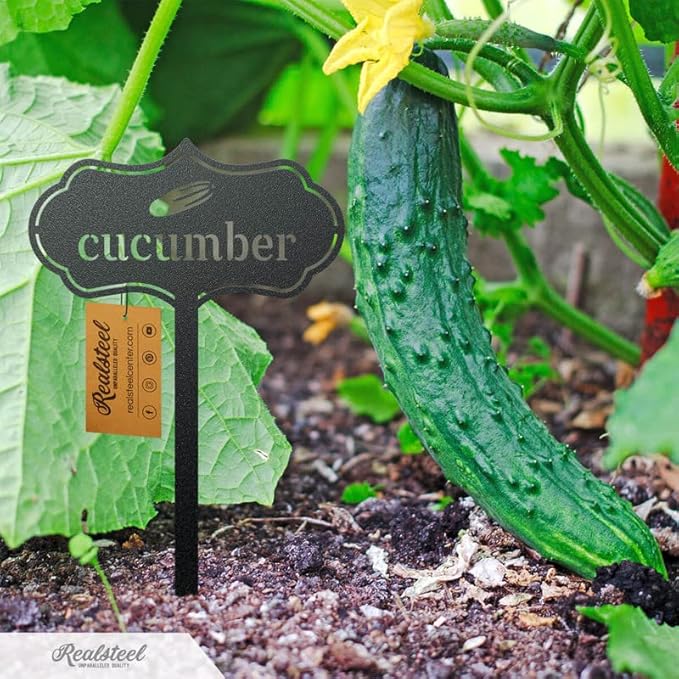 RealSteel Metal Seed & Plant Markers – Elegant Indoor & Outdoor Garden Stakes – Durable Herb, Vegetable & Fruit Plant Labels for Pots, Raised Beds & Greenhouse – Farmhouse Garden Gift - (Garlic)