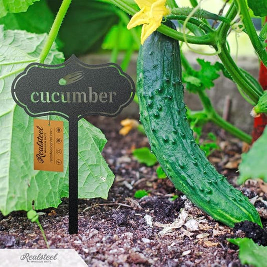 RealSteel Metal Seed & Plant Markers – Elegant Indoor & Outdoor Garden Stakes – Durable Herb, Vegetable & Fruit Plant Labels for Pots, Raised Beds & Greenhouse – Farmhouse Garden - (Brussels Sprouts)