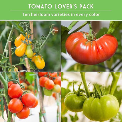 Tomato Seeds 10 Variety Pack for Planting - Roma, Cherry, Aunt Ruby's Green, Orange Cherry, Mortgage Lifter, Brandywine, & More - Non-GMO Heirloom Tomatoes - Survival Garden Seeds